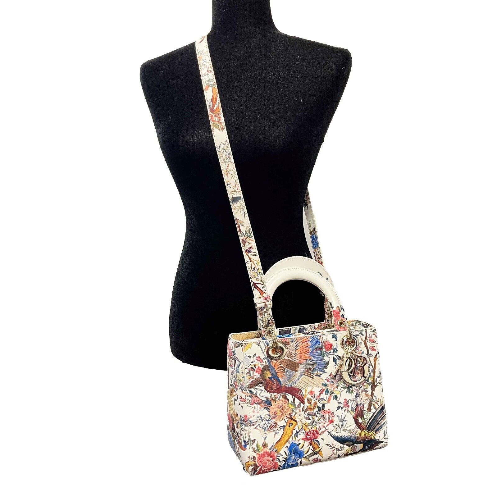 Dior Medium Lady Dior Handbag - Jardin D'Hiver Hand-Painted Leather Top Handle Bag with Adjustable Strap | Luxury Designer Purse for Women, Perfect for Parties, Weddings & Special Occasions