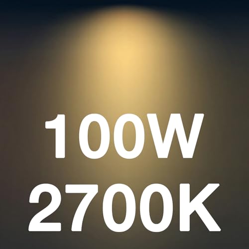 100w Soft White
