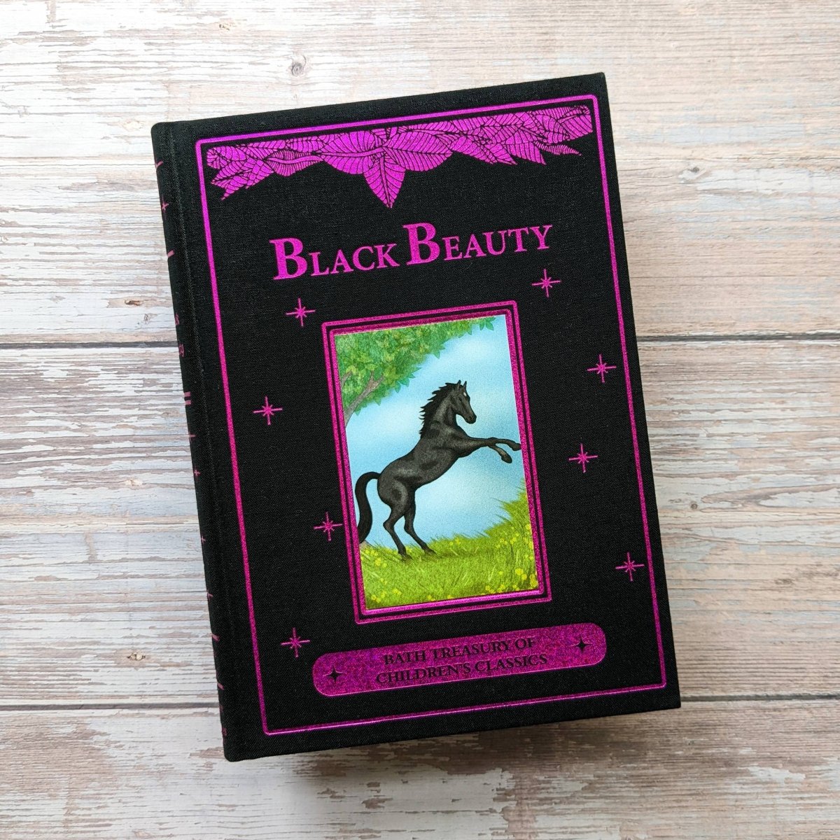Black Beauty by Anna Sewell - Illustrated Classic Novel by Rachel Clowes | Perfect for Book Lovers, Literature Students & Home Library Collections