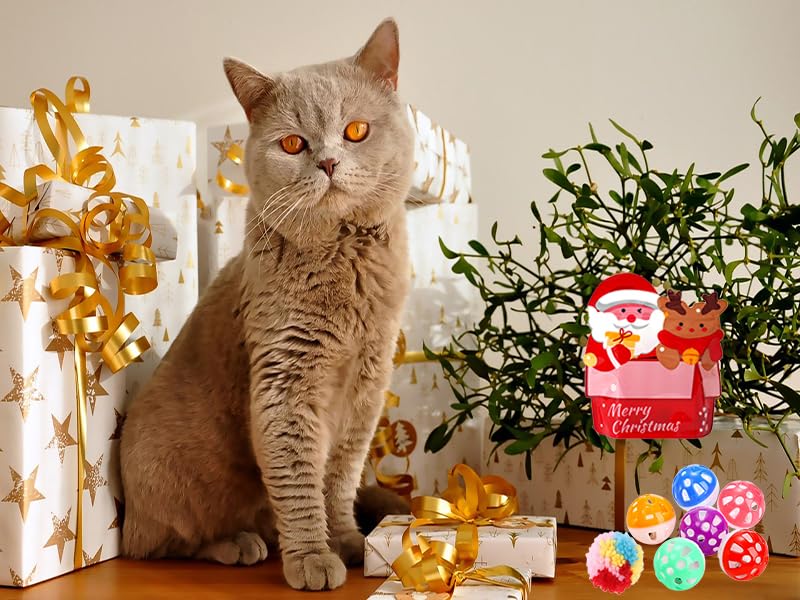 25 Pack Christmas Cat Toys for Kittens - Assorted Cat Spring Toys, Ball Toys, Crinkle Toys & Mouse Toys for Interactive Play | Perfect Holiday Gift for Cat Lovers & Fun Indoor Playtime
