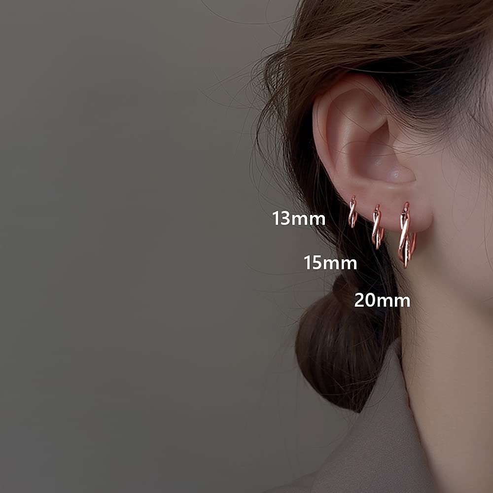 Wynn's 925 Sterling Silver Hoop Earrings for Women - Small Sleeper Hoops Set in Silver, Gold & Rose Gold | Hypoallergenic Twist Design | Perfect for Everyday Wear, Gifts & Special Occasions