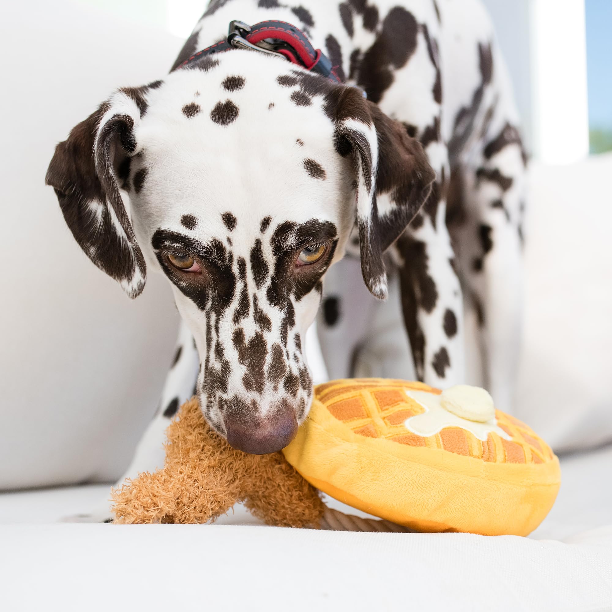 P.L.A.Y. Dog Toy - Soft Plush Chicken and Waffle Chew Toy for Small Dogs | Perfect for Indoor Play, Cuddling & Training