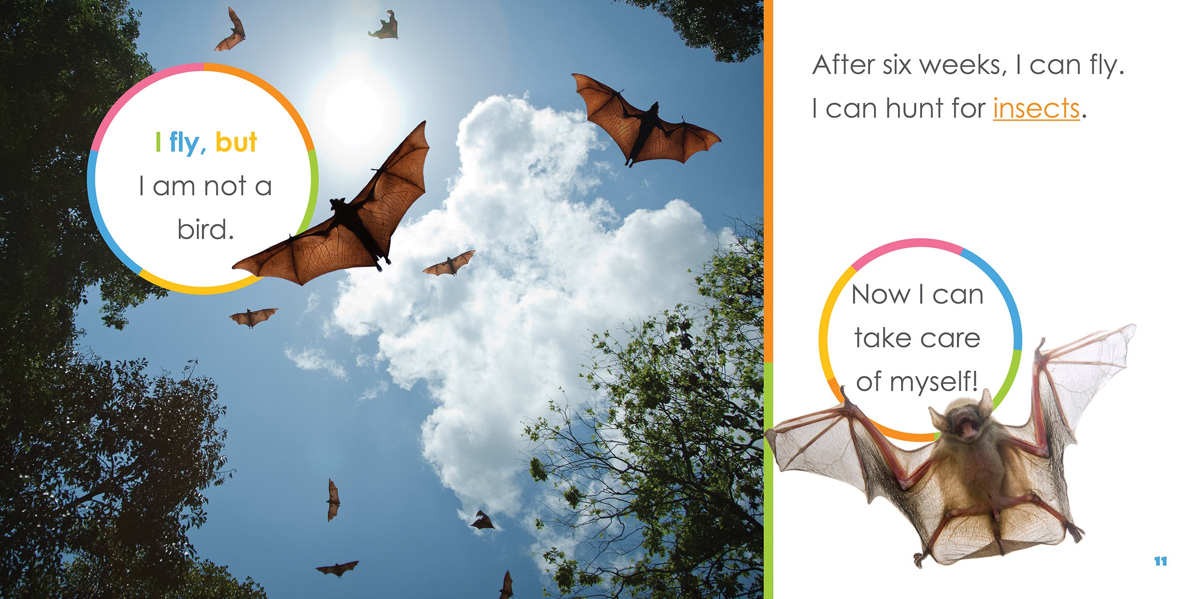Baby Bats Starting Out - Adorable Bat Plush Toys for Kids & Collectors | Perfect for Halloween Decor, Nursery Room, and Gifts