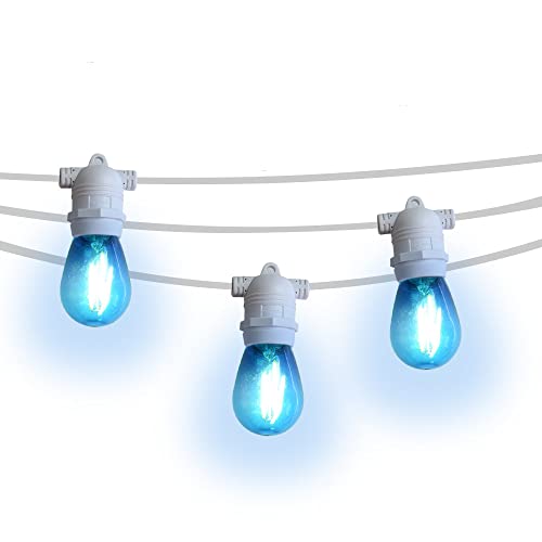 Blue Shatterproof LED Bulb (2W) - White Cord