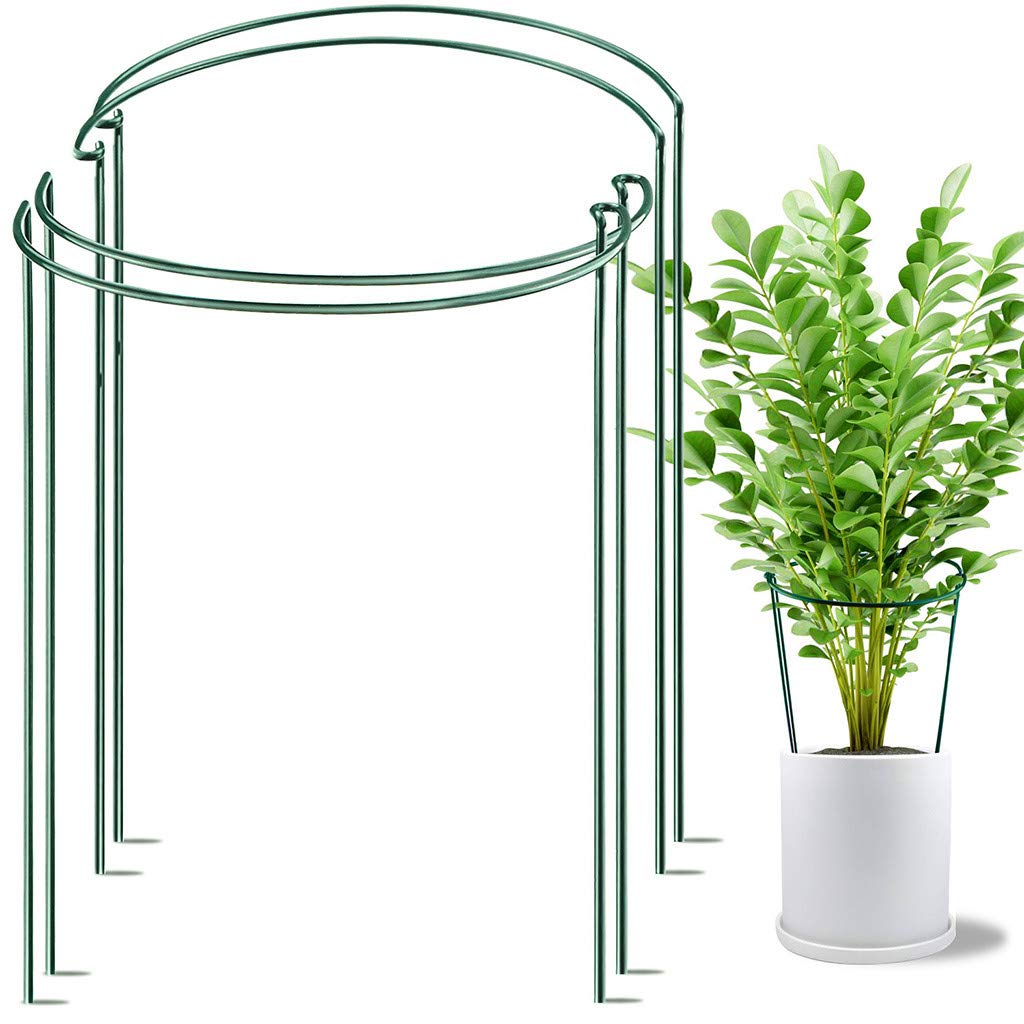 4 Pack Garden Plant Support Rings - Heavy Duty Metal Plant Holder for Outdoor Flowers, Vegetables & Vines - Essential Gardening Tools for Home & Backyard (Set of 4, Adjustable & Large Size) - Perfect for Tomato Plants, Peonies & Climbing Roses