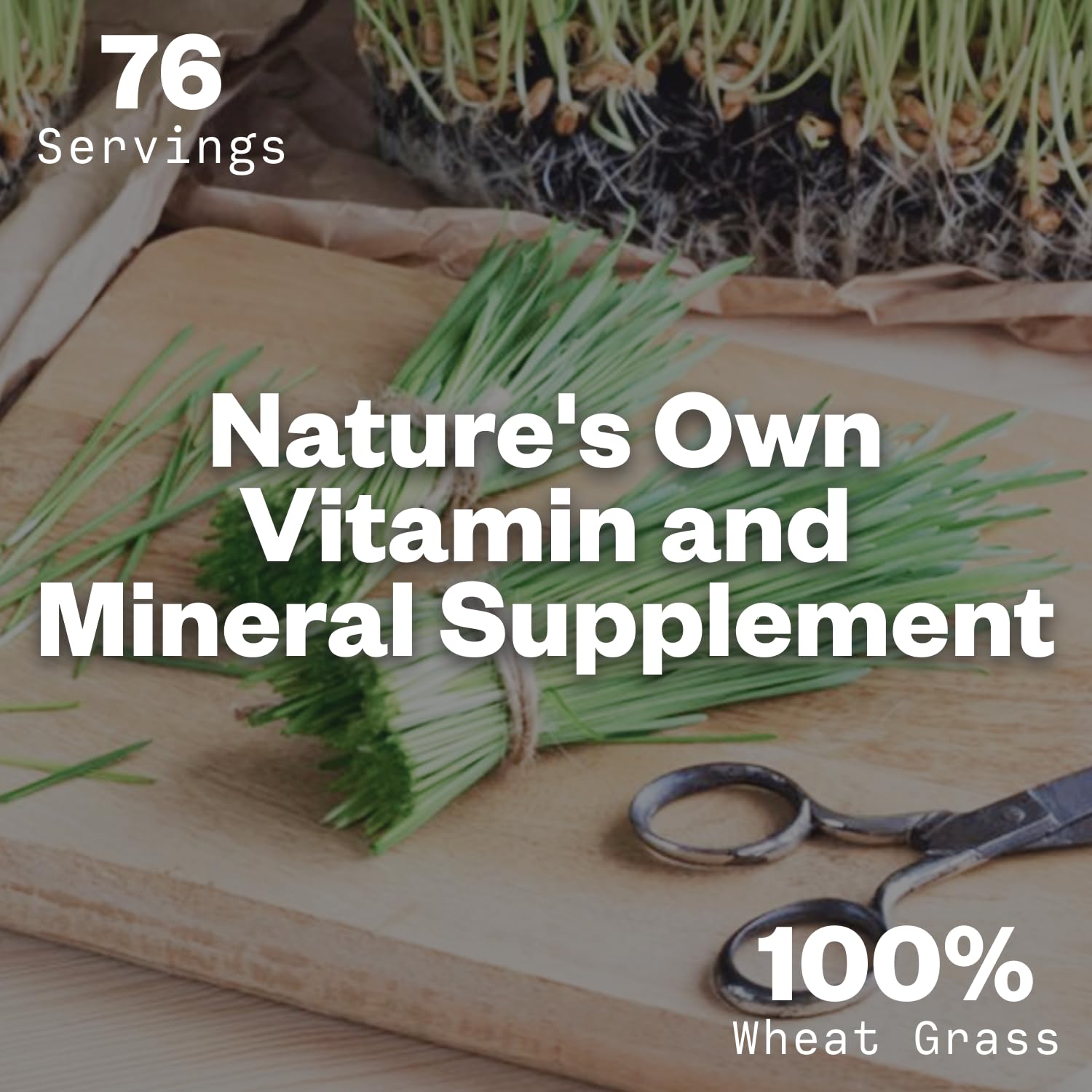Organic Wheatgrass Powder 8oz - Premium Wheat Grass Superfood for Smoothies, Juices & Salads | Rich in Vitamins, Fiber & Minerals for Immunity Boost | 76 Servings | Perfect for Detox, Energy & Wellness Drinks