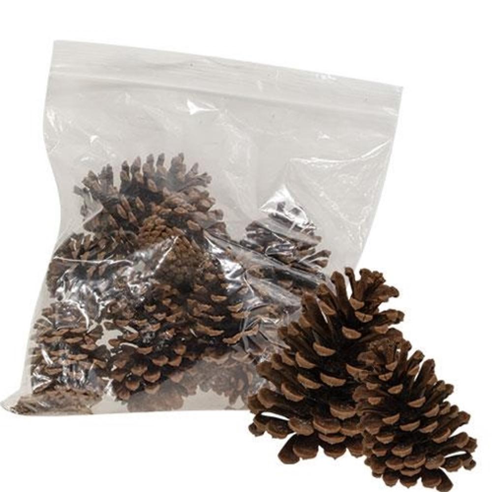 10 Natural Ponderosa Pine Cones for DIY Crafts, Home Decor, and Holiday Centerpieces - Perfect for Christmas Wreaths, Table Scatters, and Seasonal Displays