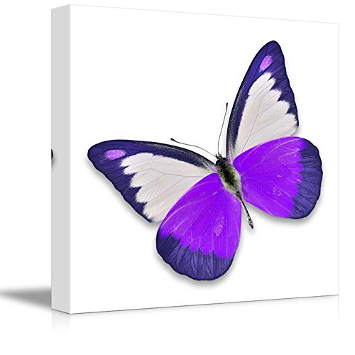Purple Butterfly