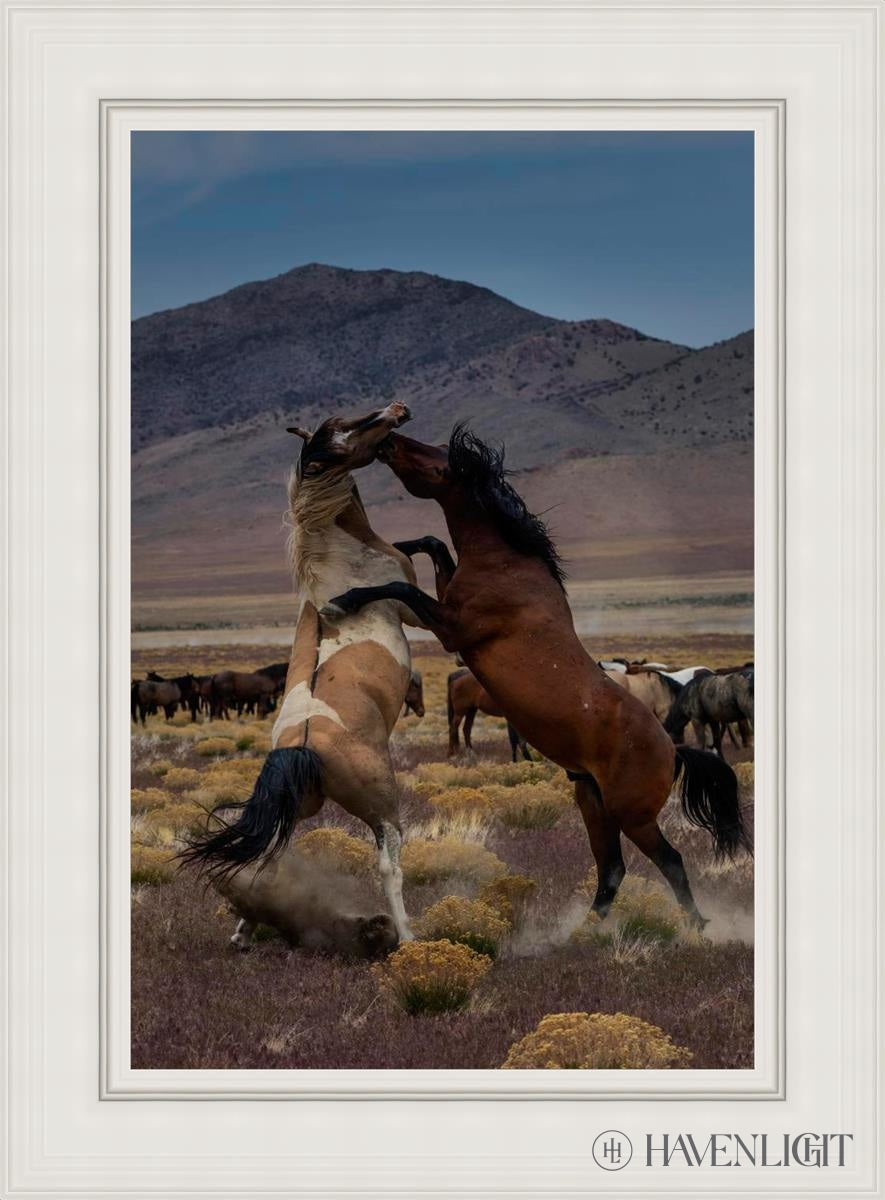 Desert Duel 1 by Greg Sargent - Western Adventure Novel for Adults | Perfect for Book Clubs, Gifts & Western Fiction Fans