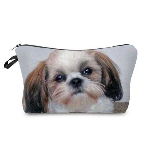 Shih Tzu 01