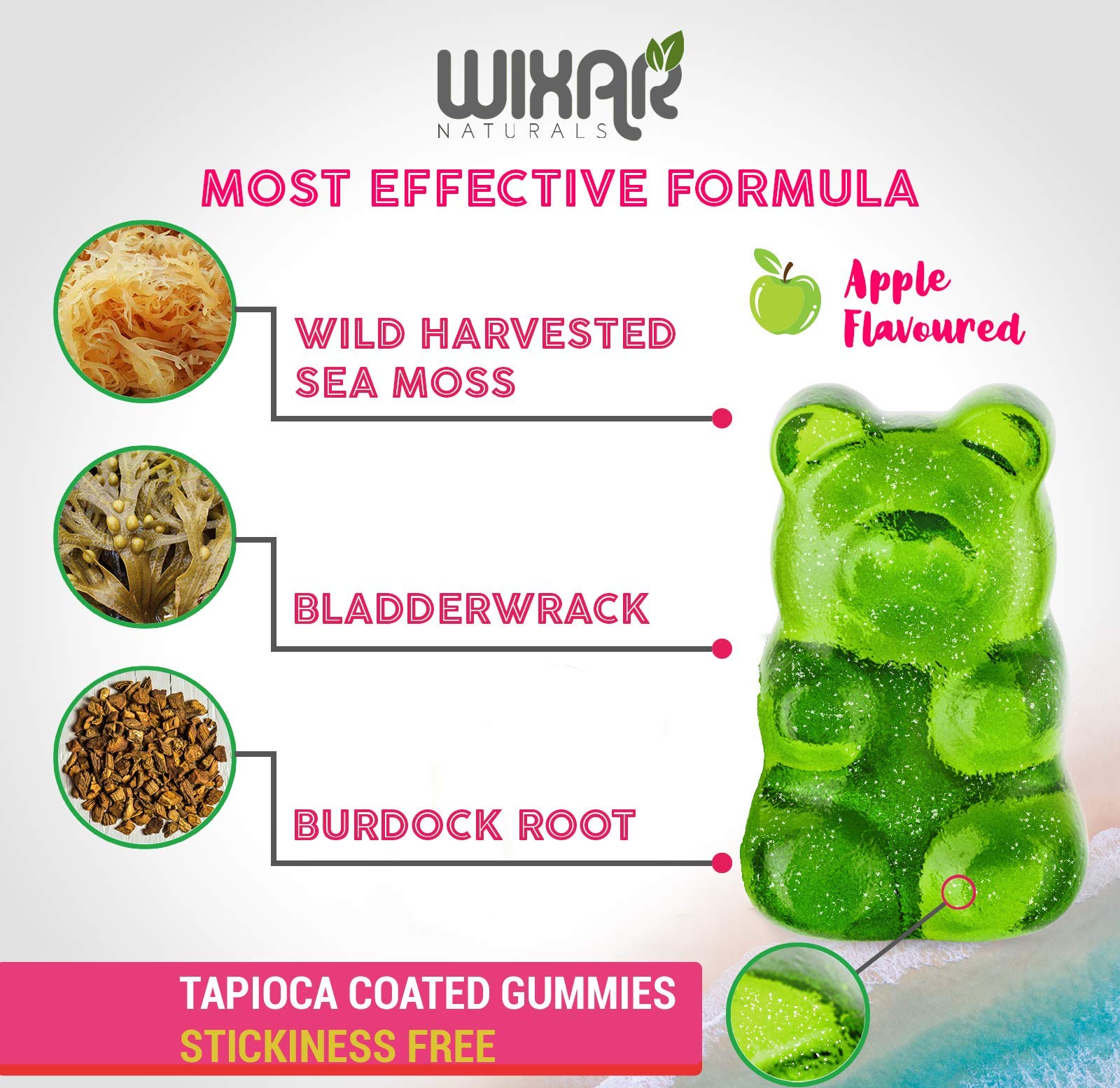 Organic Irish Sea Moss & Bladderwrack Gummies with Burdock Root - 60 Vegan Gummy Supplements for Immune Support, Gut Health & Wellness - Herbal Alkaline Supplement for Energy, Skin & Digestion - Perfect for Daily Wellness Routine & Immune Boosting