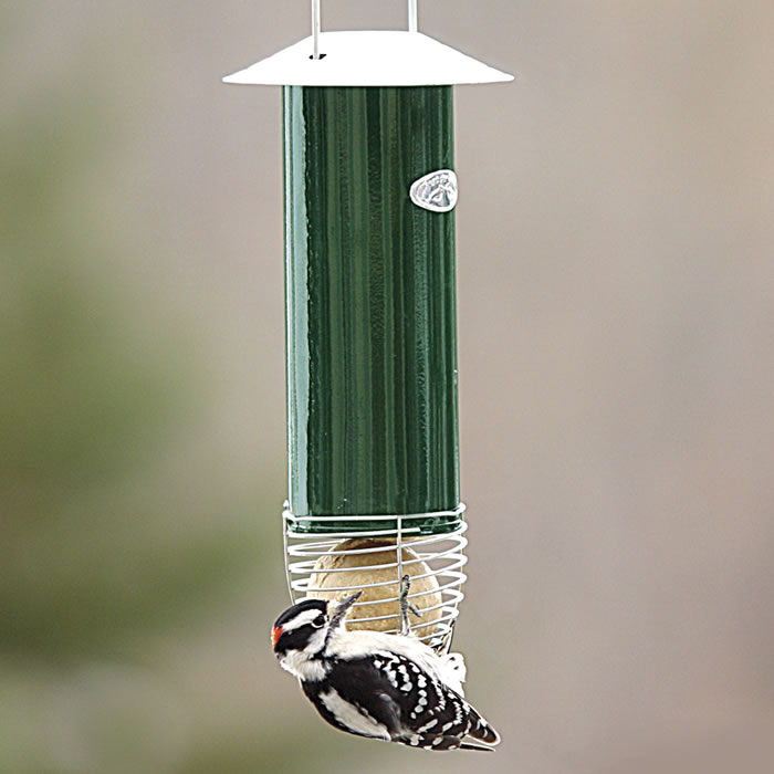 Automatic Suet Ball Bird Feeder - Easy to Use Wild Bird Food Dispenser for Backyard, Garden & Outdoor Bird Watching