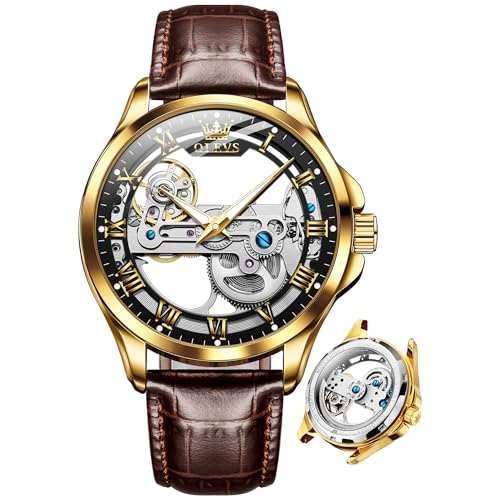 Skeleton Watch: Brown Leather Black Dial