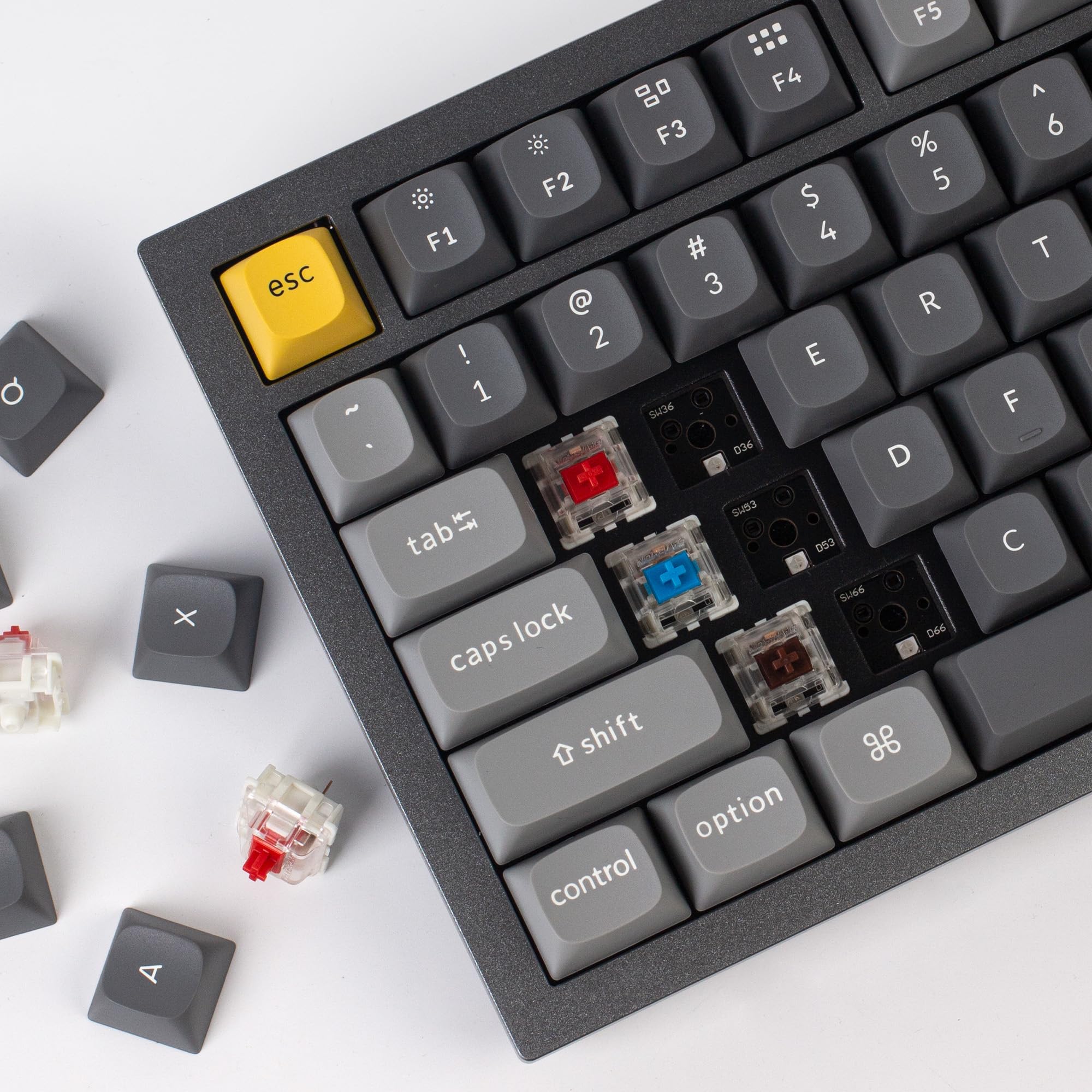Keychron Q1 RGB Wired Custom Mechanical Keyboard with Knob - 75% Layout, QMK/VIA Programmable, Hot-Swappable Gateron G Pro Brown Switches, Double Gasket Design for Mac/Windows/Linux (Grey) | Perfect for Gaming, Coding & Office Work