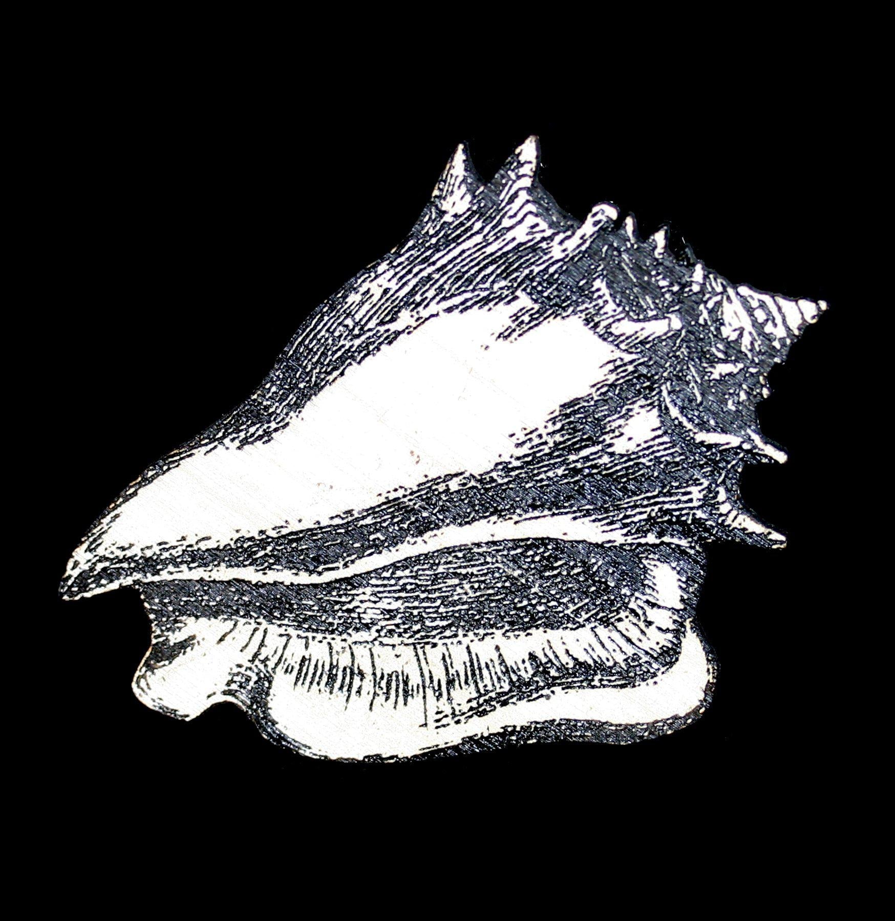 Natural Birch Wood Conch Shell Magnet - Handmade Beach Decor for Refrigerator, Office & Home - Perfect for Coastal Themed Rooms, Kitchen, and Gifts