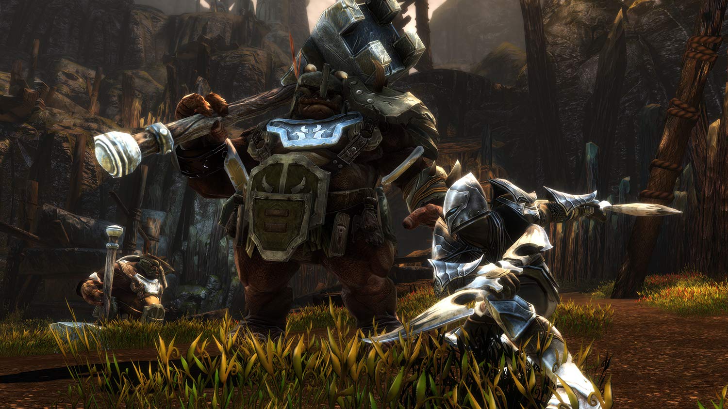 Kingdoms of Amalur Re-Reckoning - Nintendo Switch Game | Epic Fantasy RPG Adventure | Perfect for Travel & Home Gaming