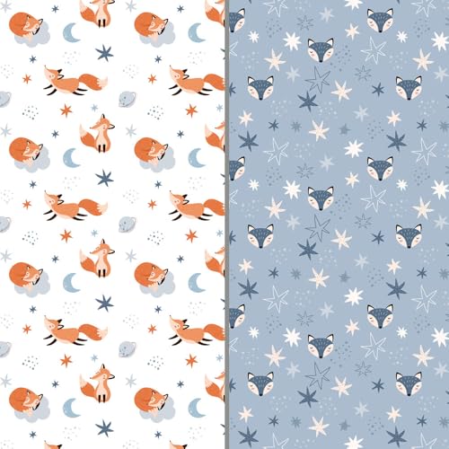 Starry Fox