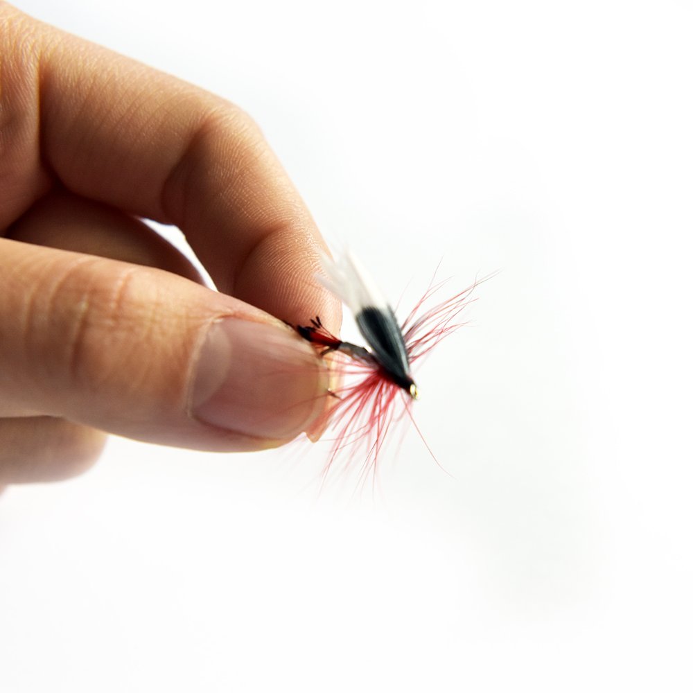 TOPIND 24-Piece Dry Fly & Wet Fly Fishing Flies Kit - Assorted Nymph Fly Lures for Trout Fishing - Waterproof Double-Sided Pocket Fly Box - Perfect for Stream, River & Lake Fishing Adventures