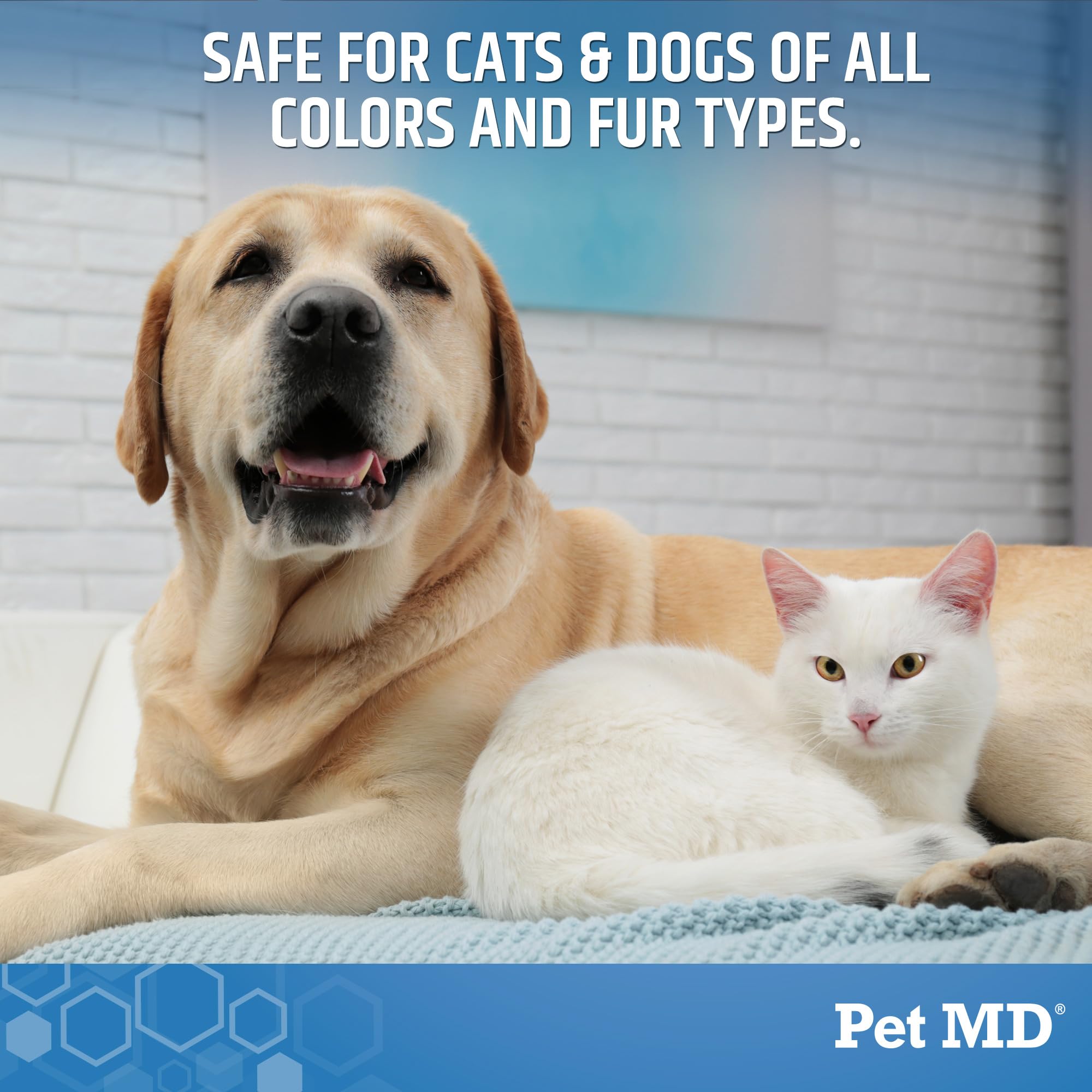 Pet MD Bright Whitening Shampoo for Dogs & Cats - Tearless Protein Enriched Shampoo with Oatmeal for White & Light Colored Coats - Cleans, Adds Shine & Prevents Matting - 12 oz - Perfect for Grooming, Show Prep & Daily Baths