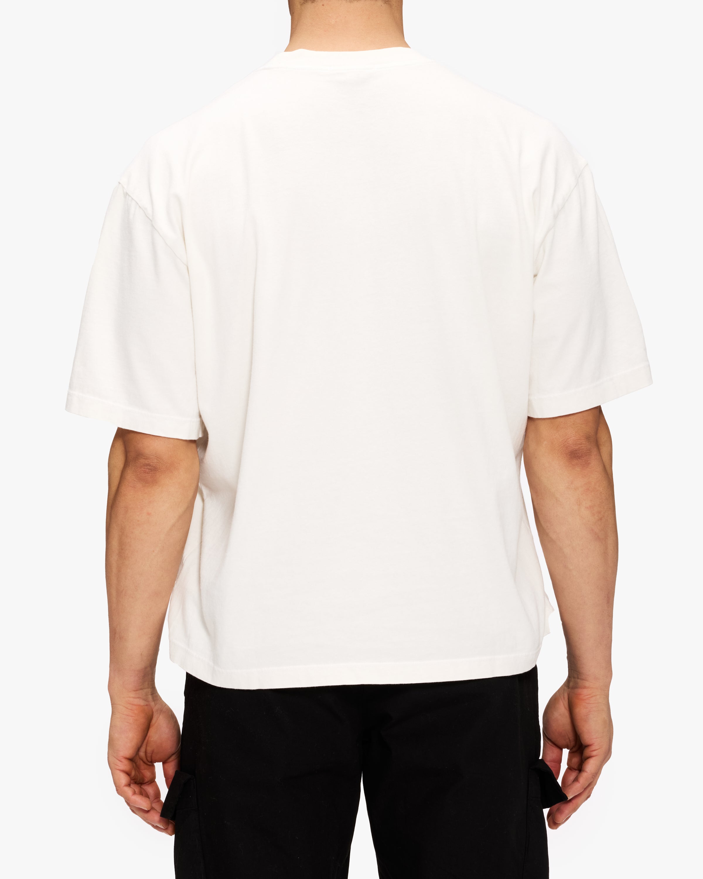 Cotton Citizen Bowie Short Sleeve T-Shirt for Men - Soft Breathable Cotton Tee - Casual Summer Top for Outdoor Activities and Daily Wear
