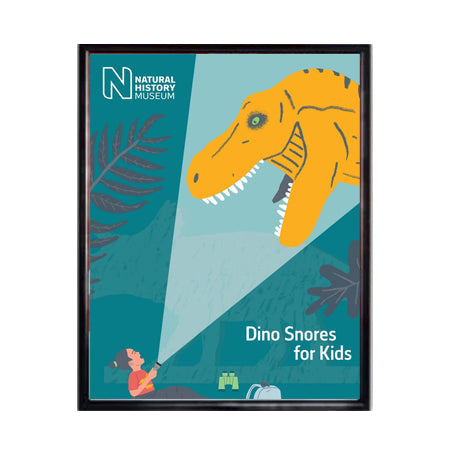 18x24 Beveled Aluminum Slide-In Frame - Top or Side Load Poster & Sign Holder for Home, Office, and Gallery Displays