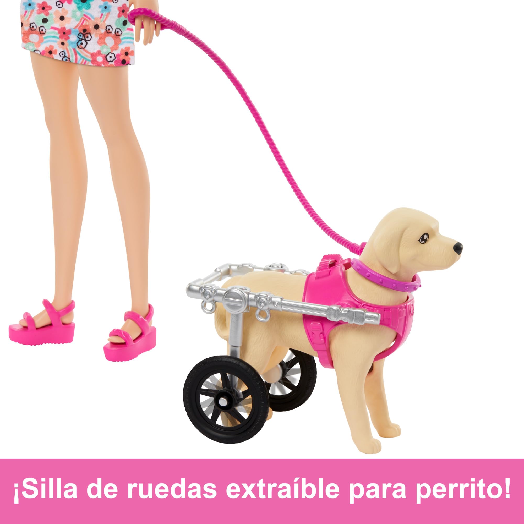 Barbie Blonde Doll with Removable Wheelchair, 2 Pets & Accessories - Interactive Play Toy for Kids Ages 3+ (Mattel HTK37) | Pretend Play, Birthday Gift, Collectible Doll for Girls