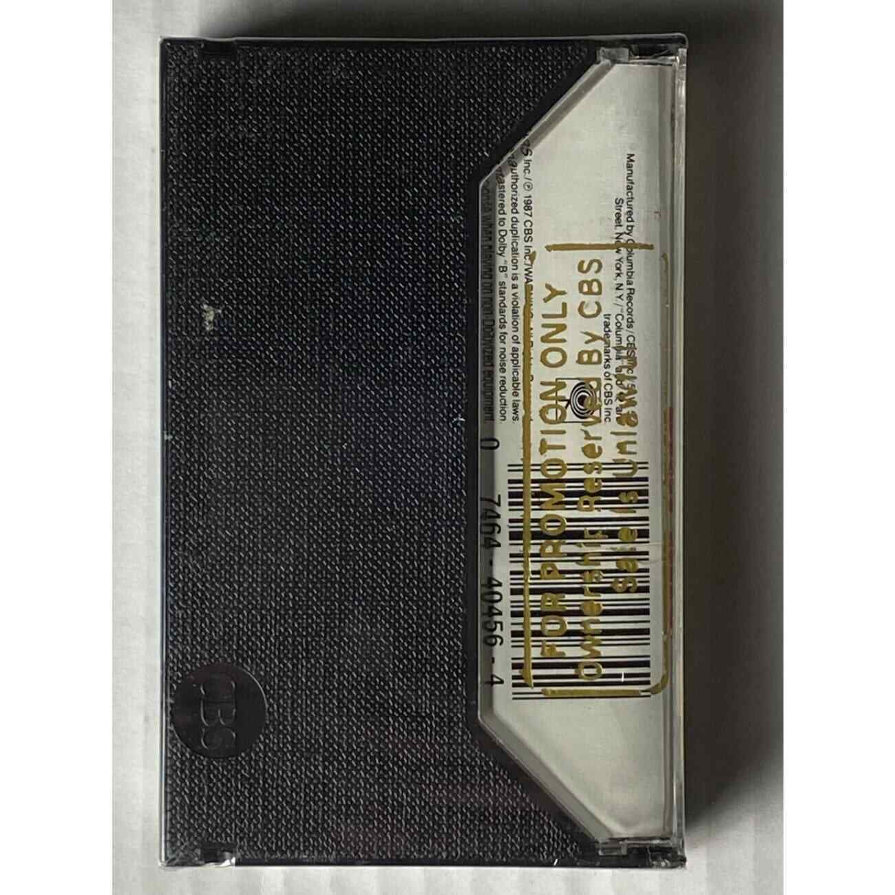 Dan Hill Self Titled 1987 Sealed Promo Cassette - Vintage Collectible Music Tape - Perfect for 80s Music Lovers & Cassette Collectors