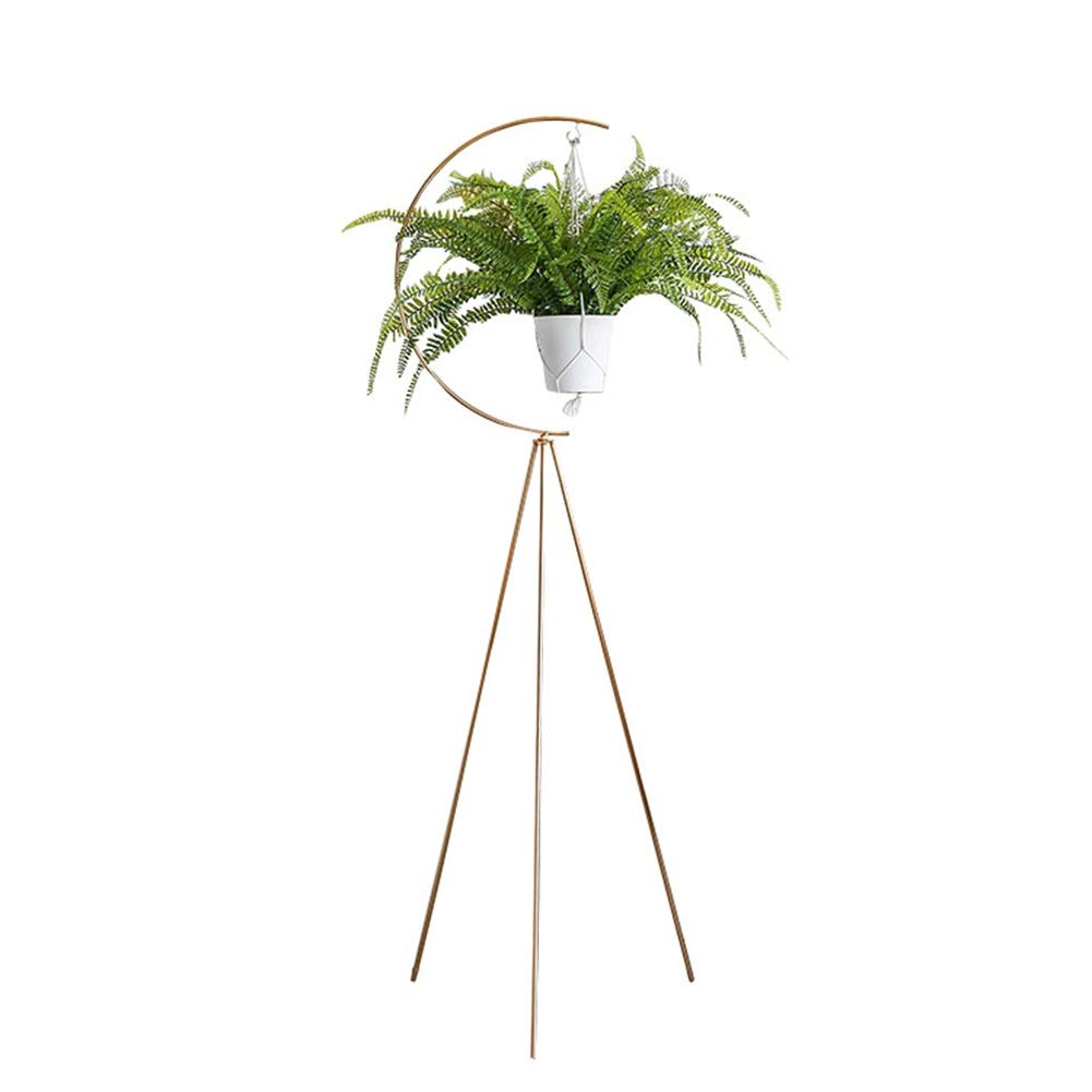 ZENGAI Iron Flower Pot Shelf - Modern Floor-Standing & Hanging Plant Stand for Balcony, Living Room, Indoor Decor with Gold Finish | Perfect for Home, Office, and Garden Decoration
