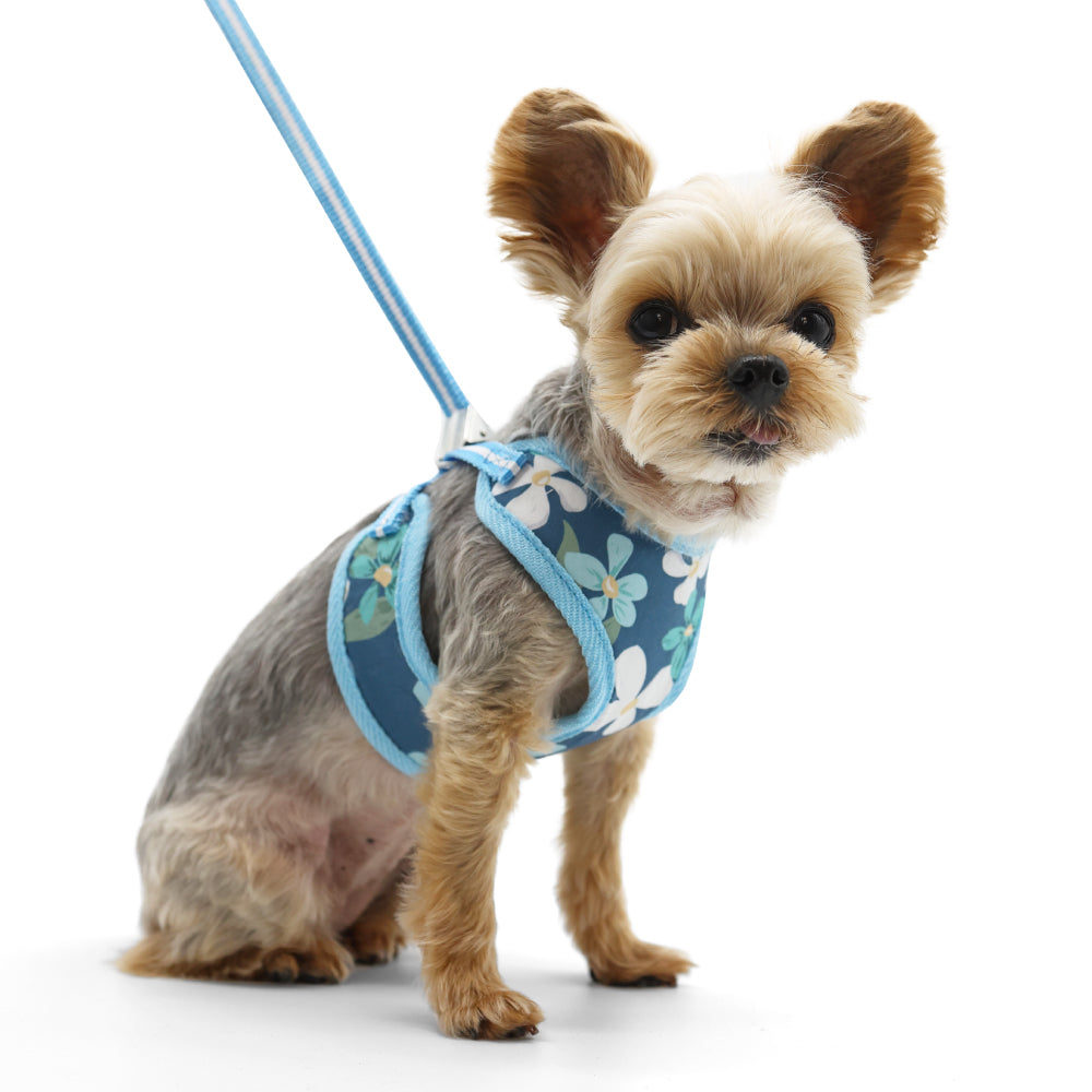 EasyGO Wildflower Harness for Small Dogs - Adjustable Pet Vest with Reflective Strips - Perfect for Walking, Hiking & Outdoor Adventures