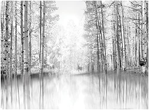 Aspen Reflection
