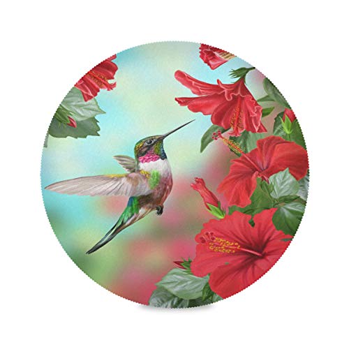 Red Hibiscus Flower Hummingbird