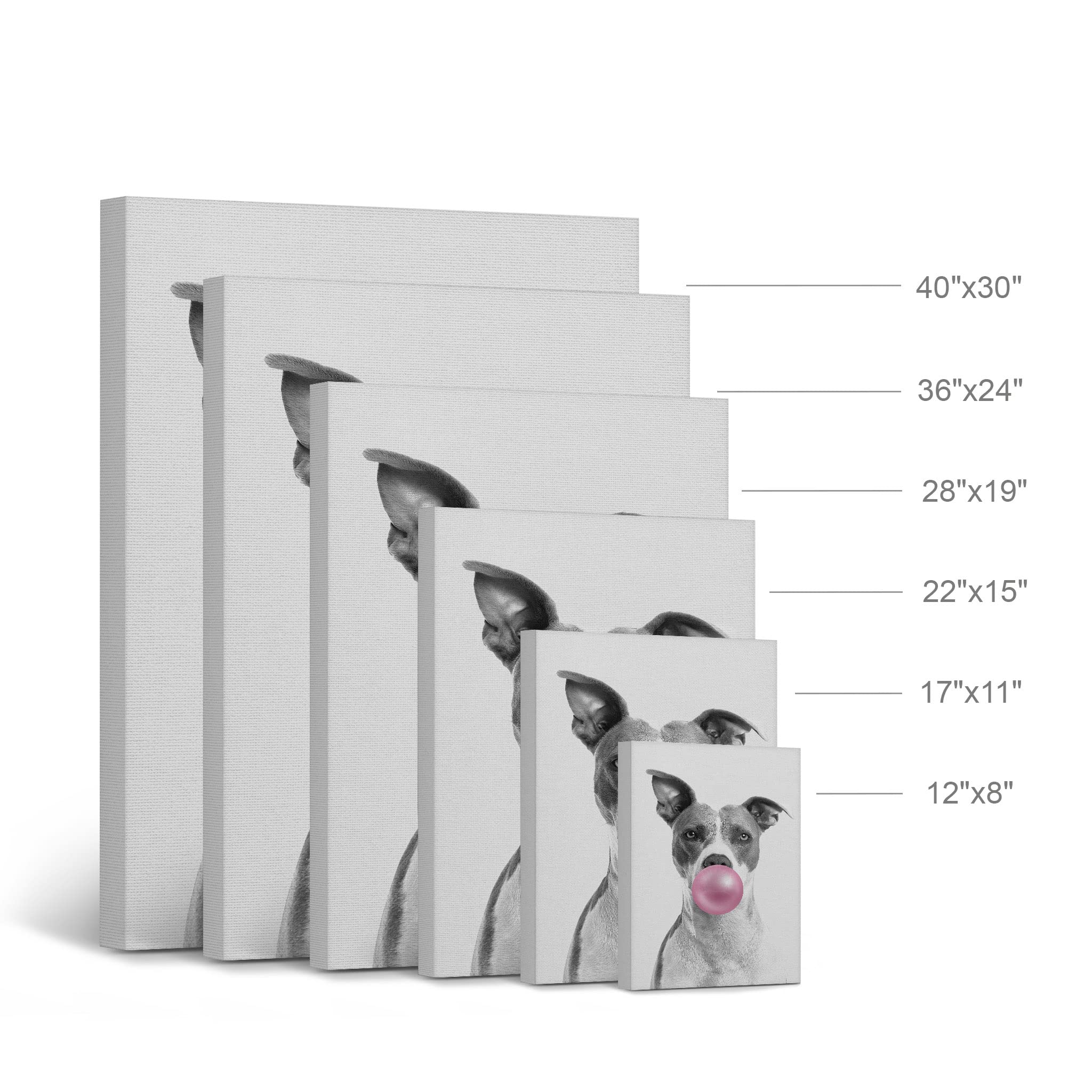 Smile Art Design Dog Giraffe Koala Animal Bubble Gum Canvas Print Set - Pink Black White Wall Art for Nursery, Baby Room, Kids Bedroom Decor - Ready to Hang Made in USA (28x19 inches) - Perfect for Children's Playroom, Daycare or Birthday Gift