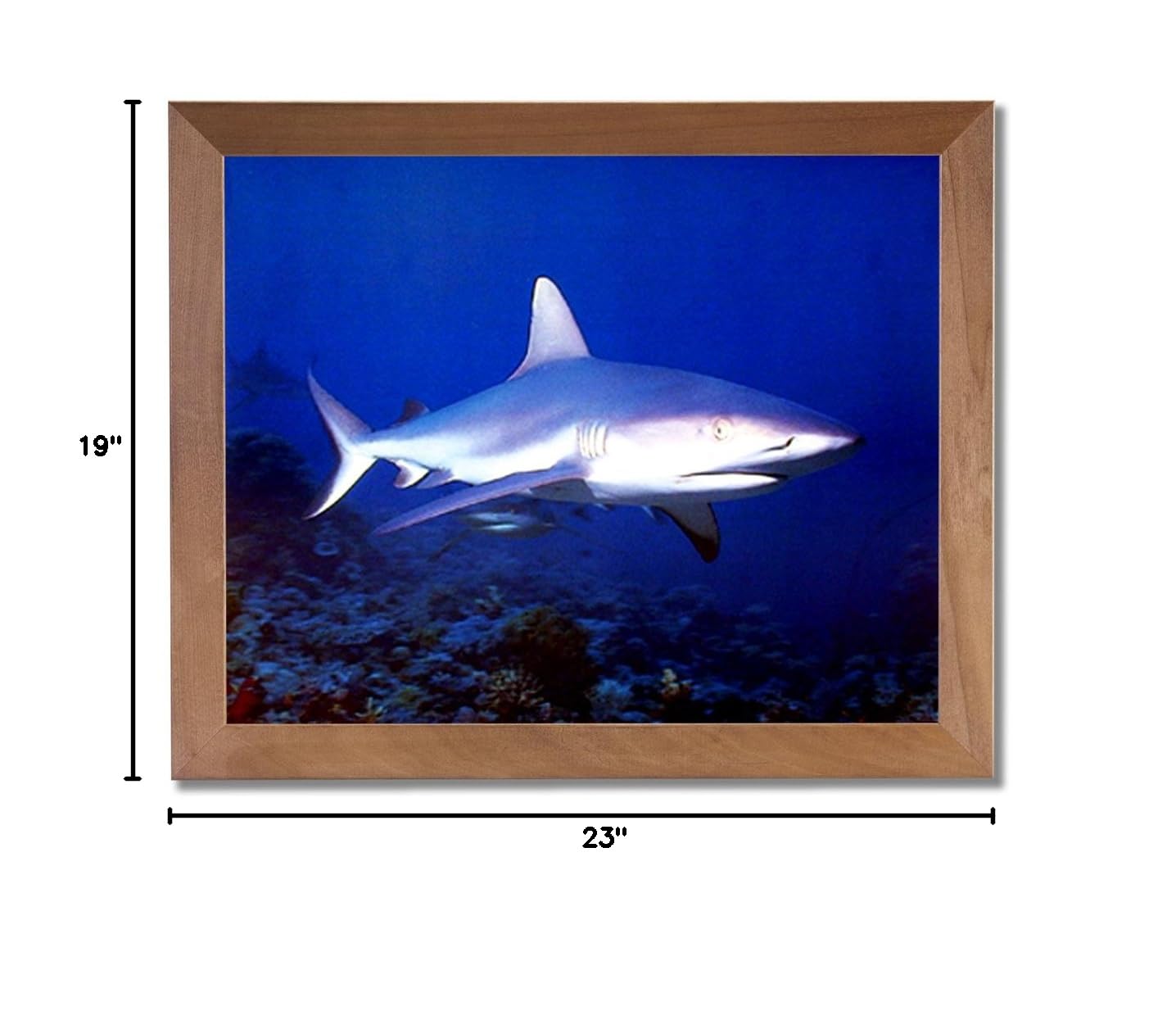 Ocean Shark Wild Tiger Bull Framed Wall Art Print - Modern Home Decor for Living Room, Bedroom & Office