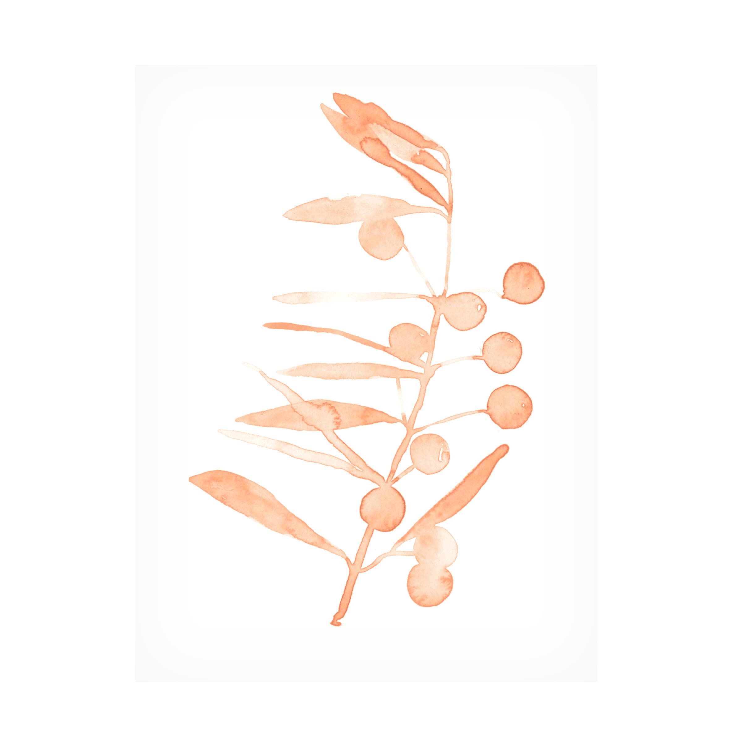 Emma Scarvey 'Blush Olive Branch III' Canvas Wall Art Print - Modern Floral Home Decor for Living Room, Bedroom & Office - Trademark Fine Art Collection