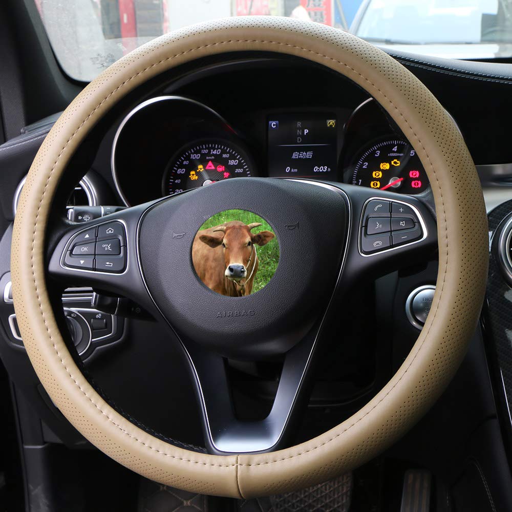 Genuine Leather Steering Wheel Cover 15