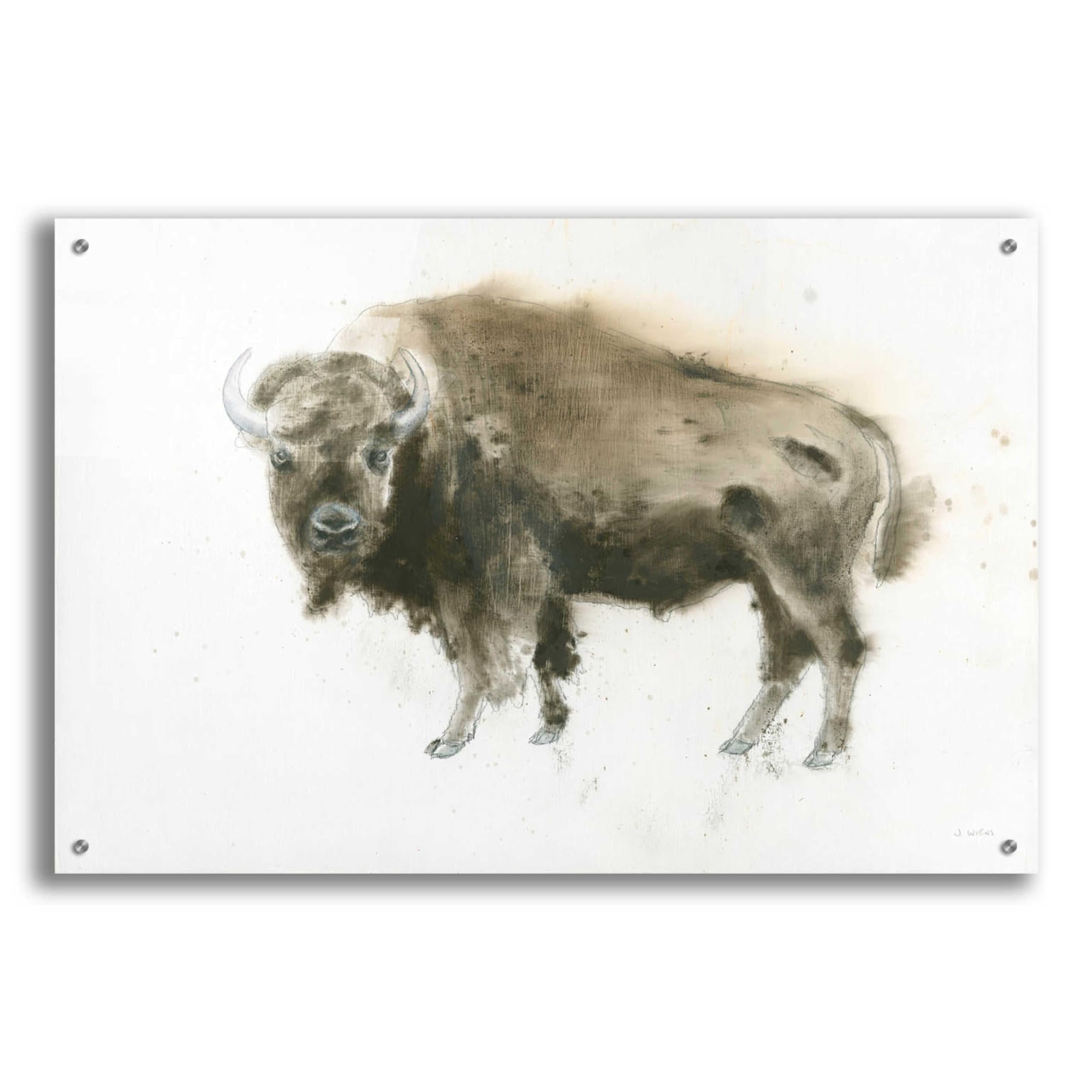 Buffalo Bill Acrylic Glass Wall Art by James Wiens - 36x24 Inches Western Cowboy Painting for Home & Office Decor - Perfect for Living Room, Bedroom or Western Theme Interior Design