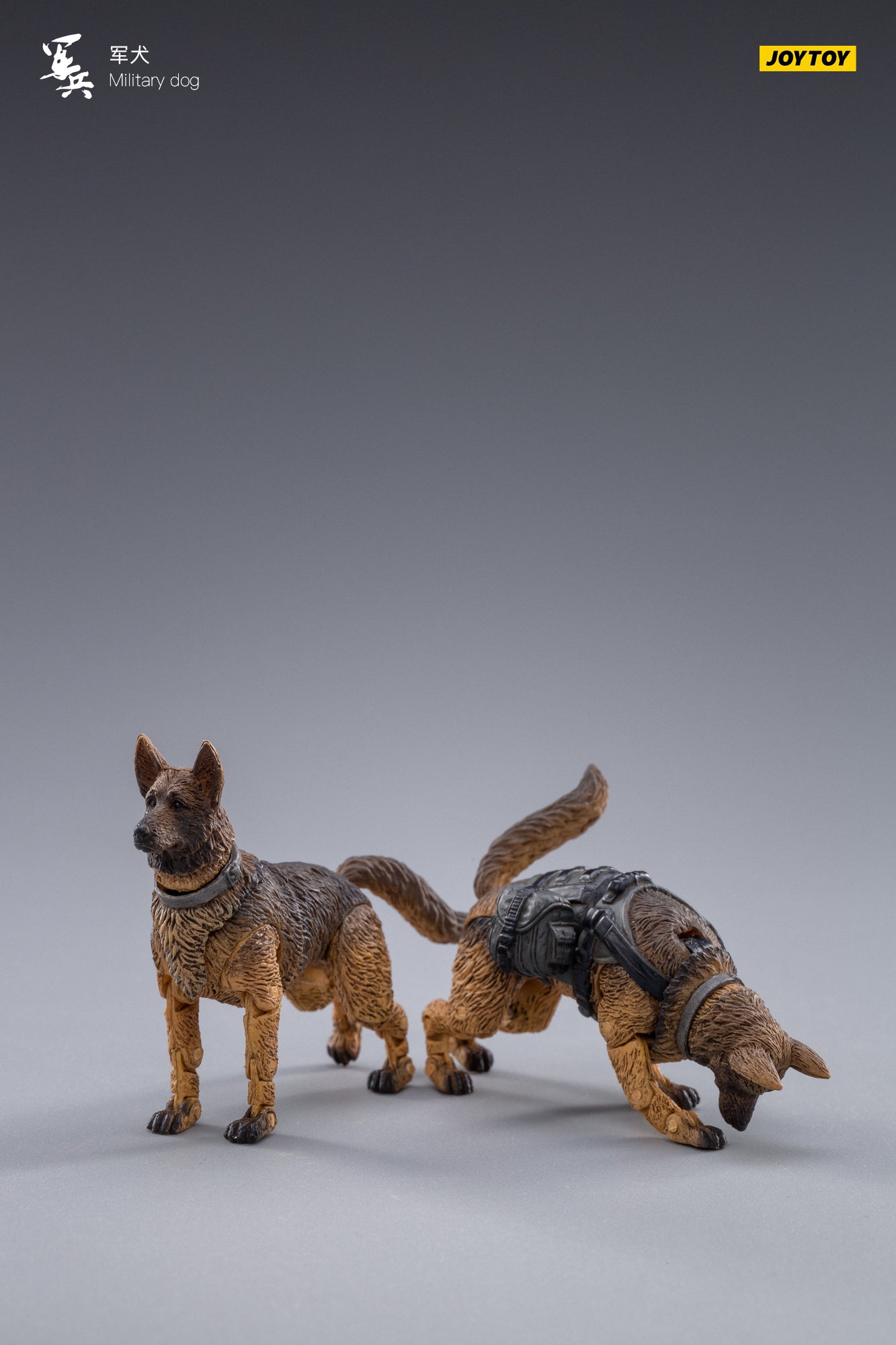 JOYTOY 1/18 Scale Military Dog Action Figure Set (2PCS) - Realistic Canine Collectible for Anime & Military Enthusiasts | Perfect for Display, Diorama Scenes & Toy Photography