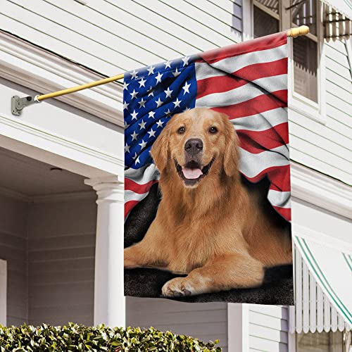 Golden Retriever V7