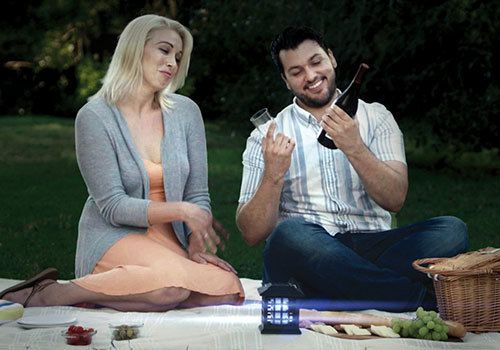 Solar Powered Bug Zapper - Outdoor & Indoor Insect Killer for Mosquitoes, Flies, and Gnats - Eco-Friendly Pest Control for Patio, Garden, and Camping