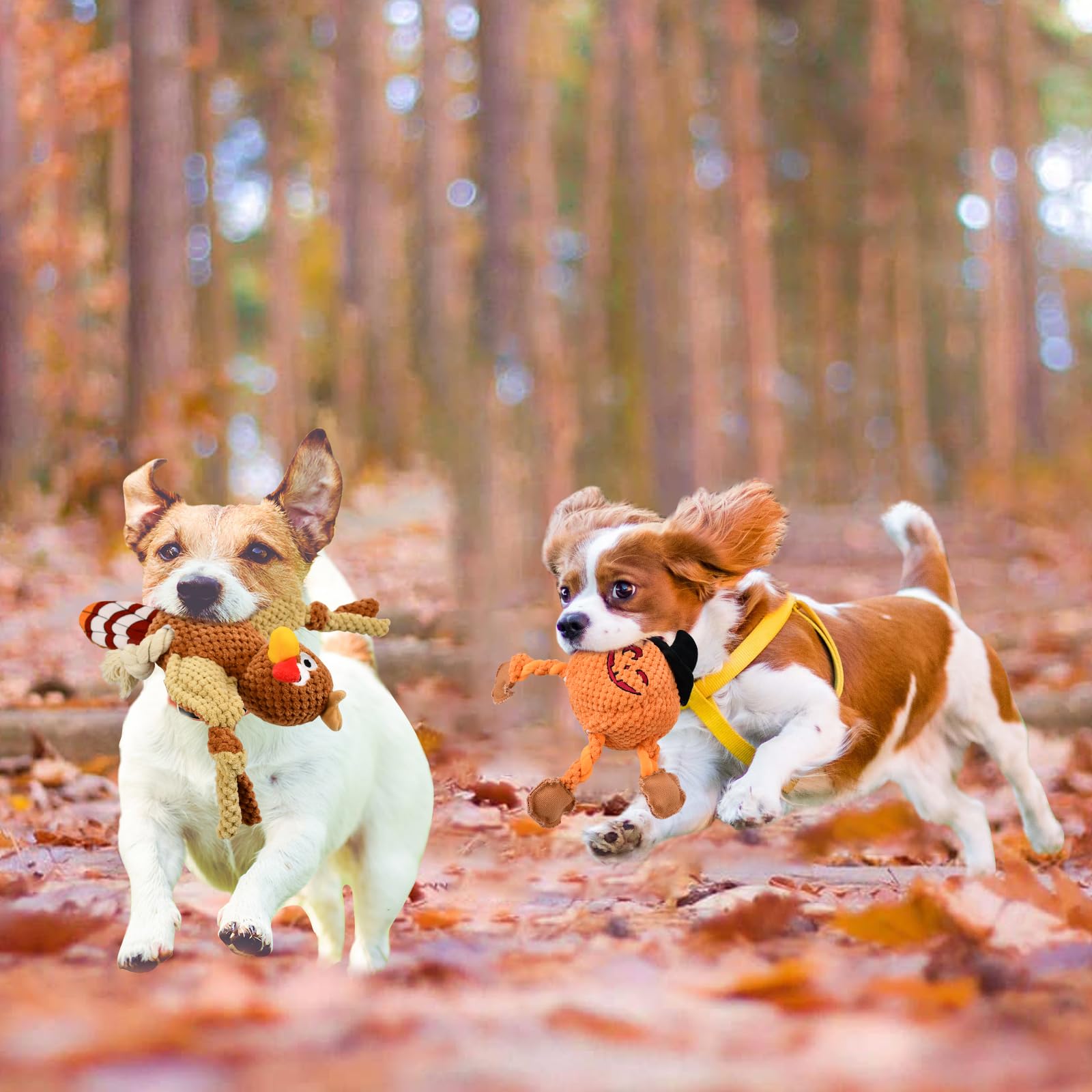 Vehomy Halloween & Thanksgiving Dog Toys - 2PCS Squeaky Pumpkin & Turkey Chew Toys for Small to Medium Dogs - Interactive Puppy Tug of War Toy for Holiday Playtime & Training