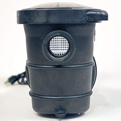 Doheny's 1 HP Above Ground Pool Pump - 115V, 75 GPM (0.9 THP) - Stainless Steel Shaft & Reinforced Thermoplastic - Low Noise & High Efficiency - 1.5