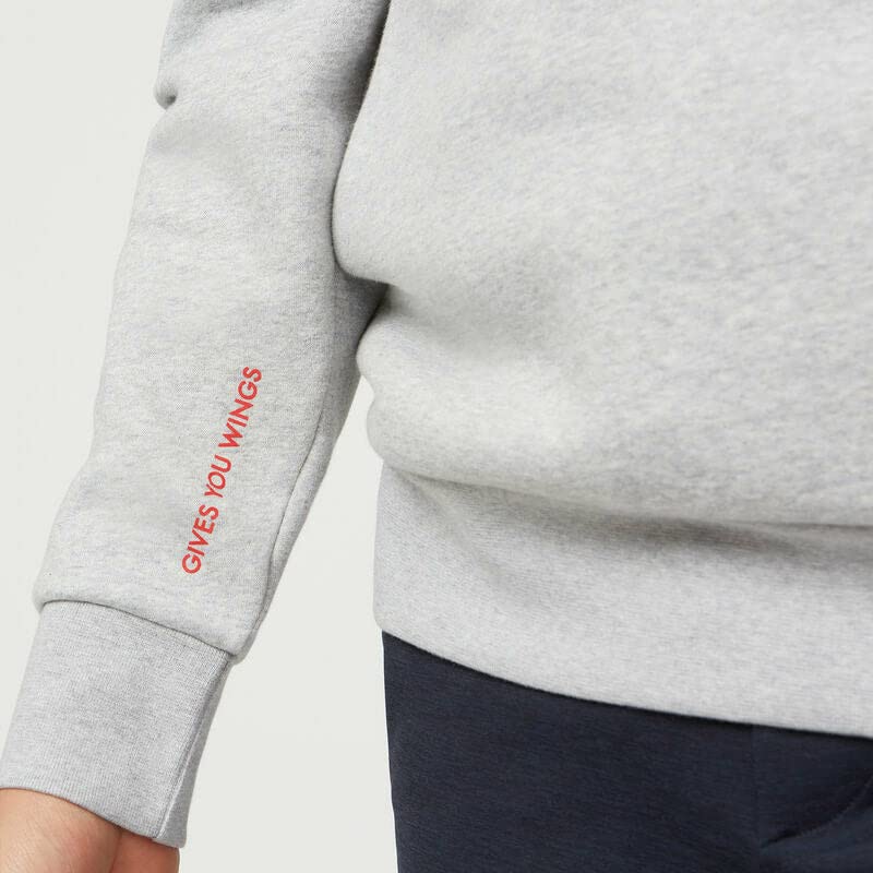 Red Bull Racing Official Formula 1 Men's Grey Hoodie XS - Authentic F1 Merchandise for Motorsport Fans - Perfect for Race Day & Casual Wear