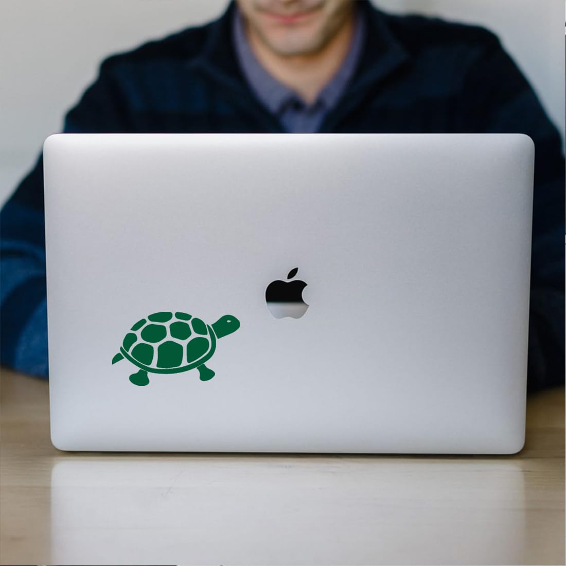 Premium Waterproof Vinyl Decal Stickers (Set of 2) - Tortoise Turtle Tropical Green Design for Laptop, Phone, Helmet, Car Window, Bumper, Mug, Cup, Door & Wall Decoration - Perfect for Home, Office, School & DIY Projects
