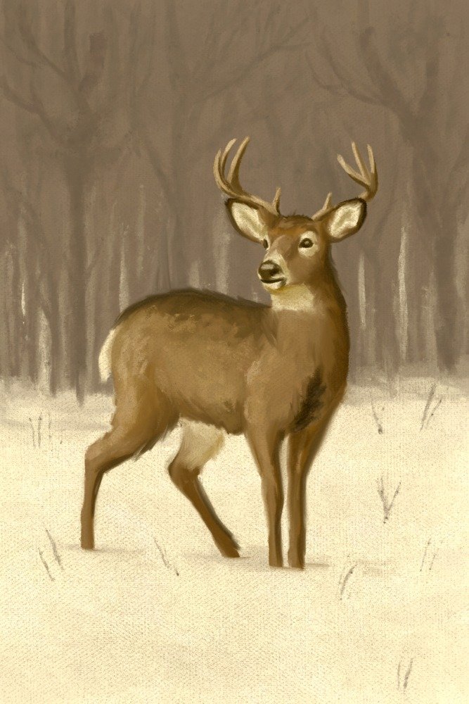 White-Tailed Deer Oil Painting - 24x36 Signed Art Print by Master Artist - Premium Wall Decor Poster for Living Room, Bedroom & Office