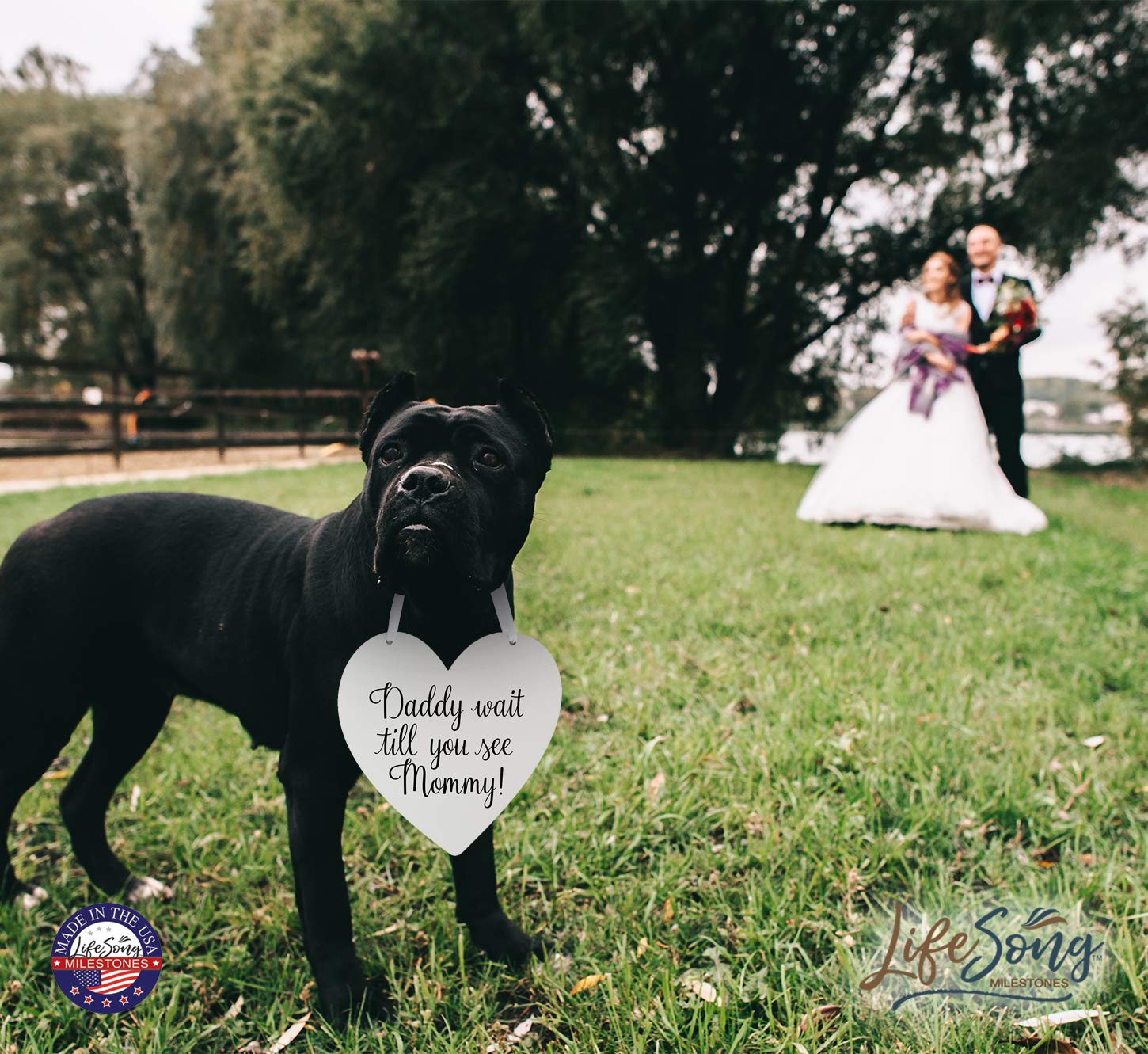 LifeSong Milestones Wedding Anniversary Heart Pet Rope Signs - Elegant Engagement & Ceremony Decor for Bride & Groom - Perfect for Wedding Receptions, Vow Renewals & Romantic Home Decor (White)