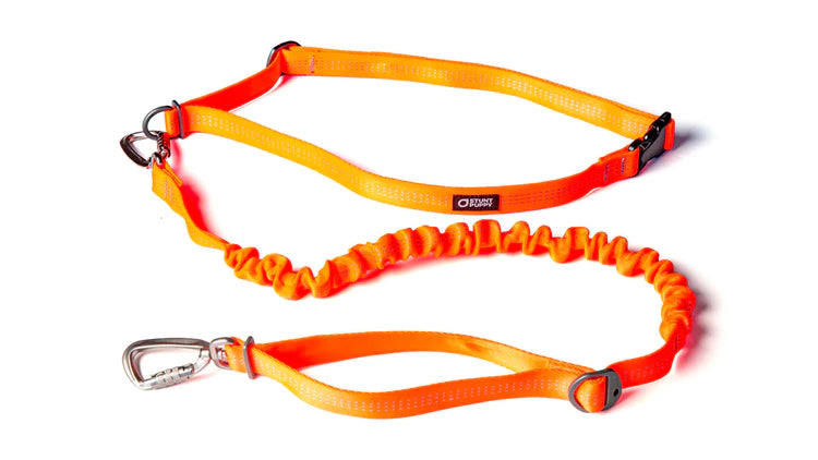 Stunt Runner Leash - Durable Hands-Free Dog Leash for Running & Outdoor Adventures | Perfect for Jogging, Hiking & Active Pets