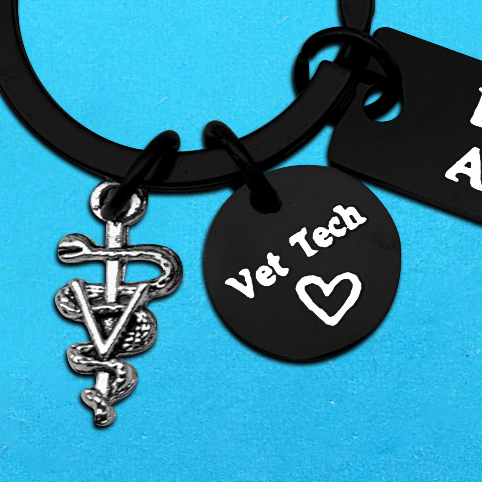 Veterinarian Gifts Keychain - Engraved Vet Tech & Student Appreciation Present for Veterinary Professionals - Perfect for Graduation, Thank You Gifts & Daily Use