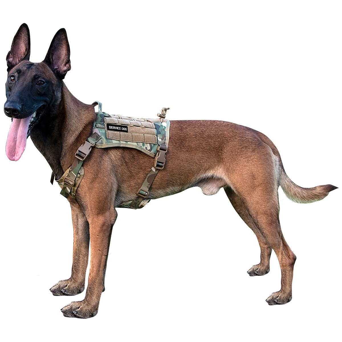 IronSeals Tactical Service Dog Vest - Adjustable Patrol Training Harness with MOLLE System & Handle - Perfect for Police K9, Military & Search & Rescue Dogs