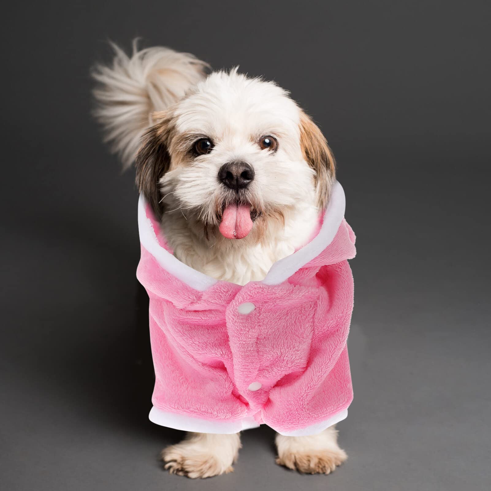 Halloween Cat & Small Dog Costumes - Winter Pet Clothes, Pig Costume & Hoodie for Dogs & Cats | Perfect for Halloween Parties, Christmas Gifts & Cold Weather Outfits