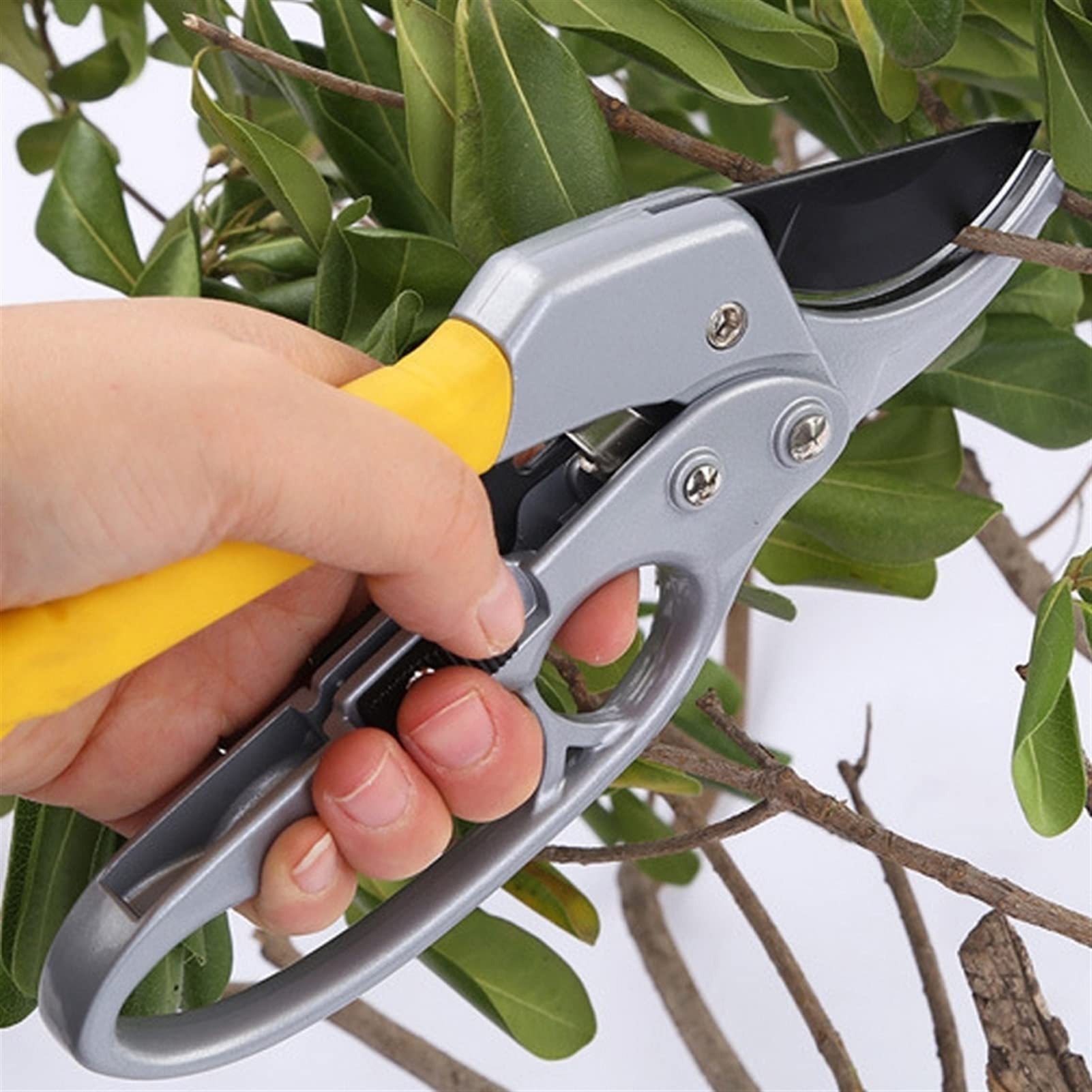 Professional Garden Clipper - Handheld Pruning Shears for Small Branches (Up to 26mm) | Durable Plant Shears for Gardening, Forest & Outdoor Use | Perfect for Trimming Trees, Shrubs & Flowers